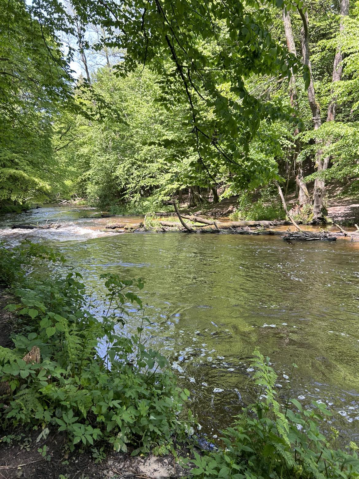 526055416 1686868961974187 9091039163769674374 n