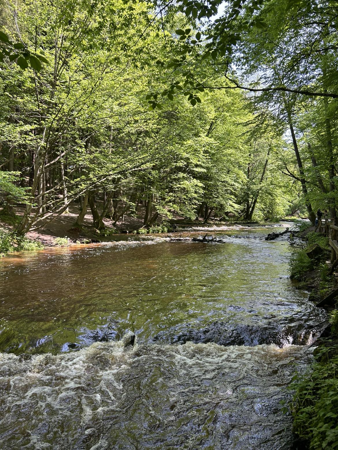 527012351 734471169295500 1101756931641351014 n