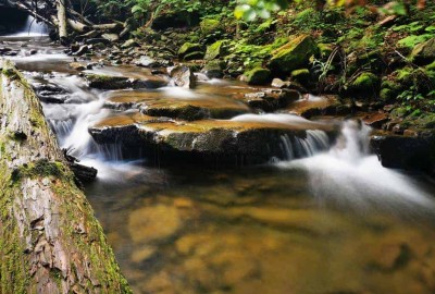 IMG_20200824_083254_Copy