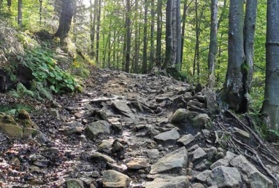 IMG_20200824_084853_Copy