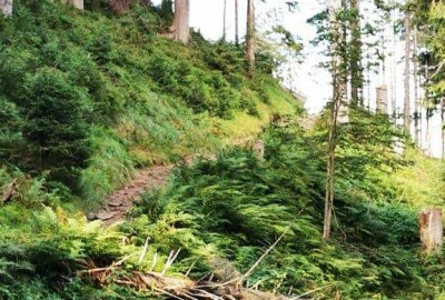 IMG_20200824_093208_Copy