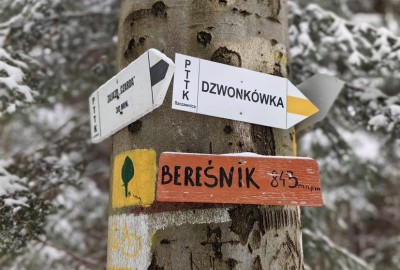 415513087_1319602408700381_6086162929941931774_n