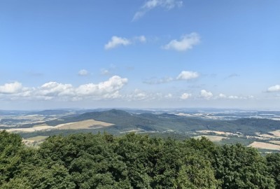 368687082_689527459748604_621346479253922381_n