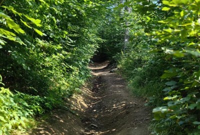 370500759_1382410779324733_6710112429549983110_n