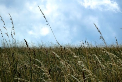 371505837_1016332409673046_6063390115822873280_n