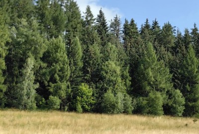 371971831_268839569341028_6419913072228866050_n