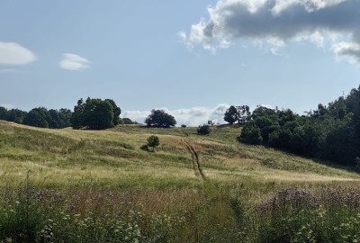 372224167_279924751407899_5667165437656060354_n