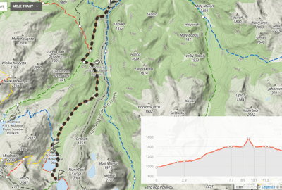 Adnotacja_2020-06-20_141522_Copy