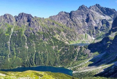 morkie_i_czarny_ze_szpiglasowej_przełeczy_Copy