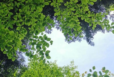 IMG_20210522_071045_Copy