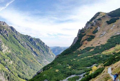 14468619_1359936977357622_1041096777866675112_o_Copy