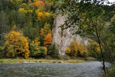 305672142_2085023515018628_2185247790566166889_n