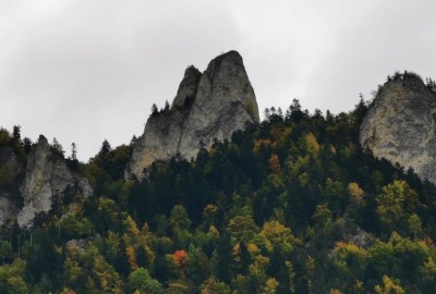 308622913_850855759410239_2068540152769083909_n