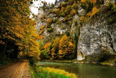 309941612_413604447516126_5184996154161390257_n