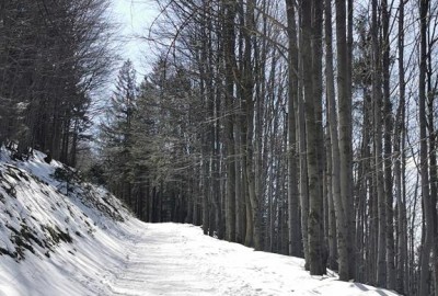 IMG_20210410_141212_Copy