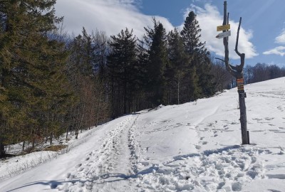 IMG_20210410_143713_Copy