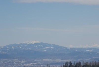 IMG_20210410_144354_Copy