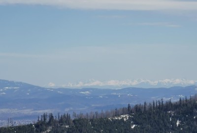 IMG_20210410_144357_Copy