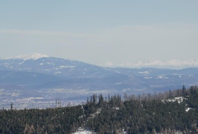 IMG_20210410_145010_Copy