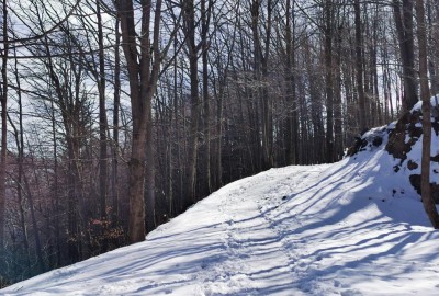 IMG_20210410_145340_Copy