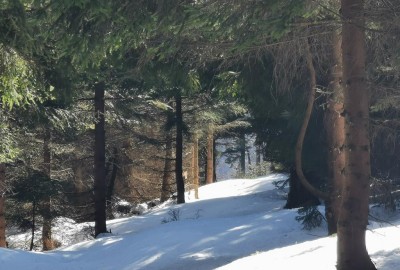 IMG_20210410_145828_Copy