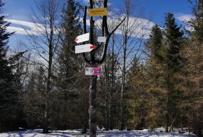 IMG_20210410_145927_Copy