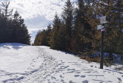 IMG_20210410_151021_Copy