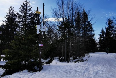 IMG_20210410_153053_Copy