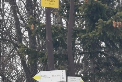 IMG_20210410_153122_Copy