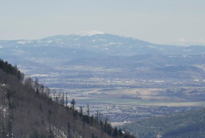 IMG_20210410_153342_Copy