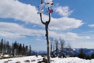 IMG_20210410_155423_Copy