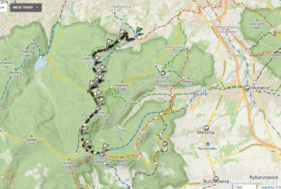 Zrzut_ekranu_2021-05-02_114513_Copy
