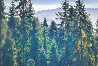 250608949_883185732336933_5228415067888663094_n