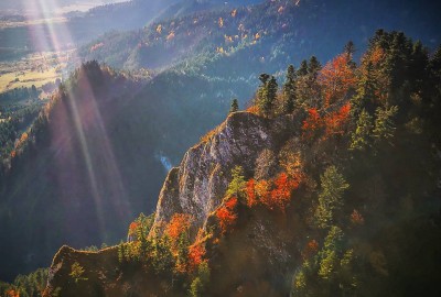 254965948_888319245156915_6132153763320262622_n