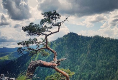 b615e4140b35877e0c07539e0a05408f