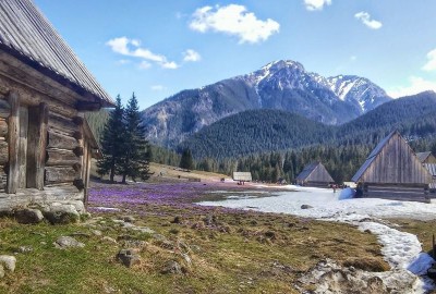 11140382_981663741851616_3071441827702698349_n