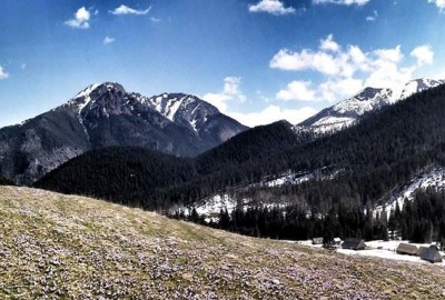 11155009_981663925184931_7417832971505134494_o