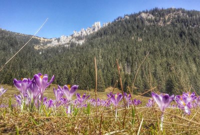 11174842_981663858518271_175882091457927801_n