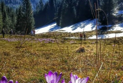 11182221_981663711851619_7462886675049574136_n