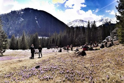 11182729_981663975184926_6547163564641855567_o