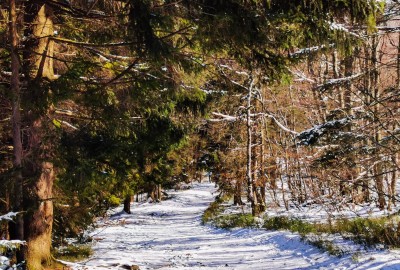 167444664_176349747544554_7896297967019055245_n