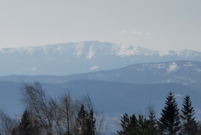 167970997_456992572066716_5481632005665097508_n