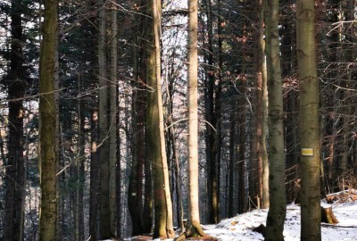 168232860_6034712016546312_7145567800853660019_n