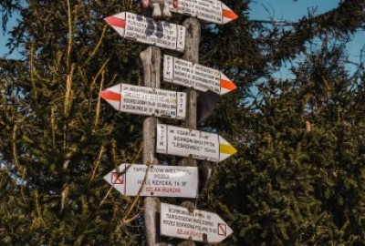 168707274_543025966679636_3806820552101380310_n