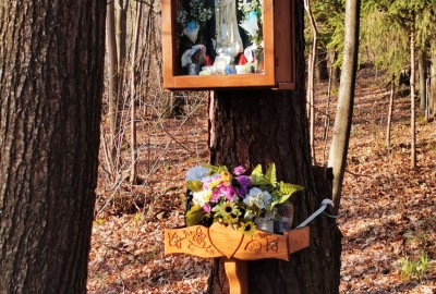 169502595_183332716944804_4917201774382065077_n