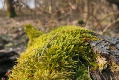 174514434_2913850495551544_2011731470836018026_n