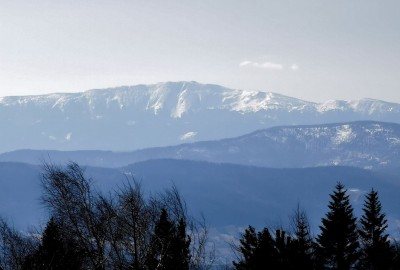 175549262_200754621638881_650157436980770106_n