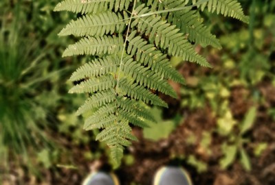 267225544_604395910855189_6629049907295431434_n