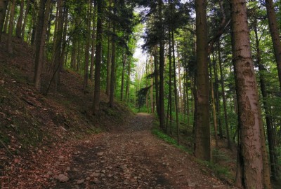 269799808_902118403801079_5695337005422036980_n