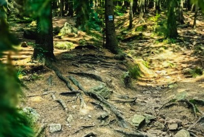 368208012_1213685269311266_726356825107862344_n